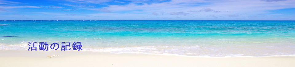活動の記録