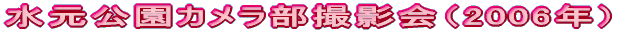 水元公園カメラ部撮影会