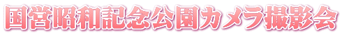 国営昭和記念公園カメラ撮影会