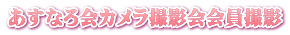 あすなろ会カメラ撮影会会員撮影
