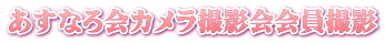あすなろ会カメラ撮影会会員撮影