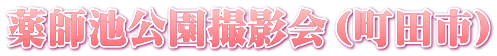 薬師池公園撮影会（町田市）