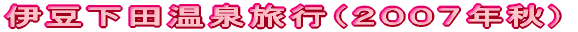 伊豆下田温泉旅行（２００７年秋）